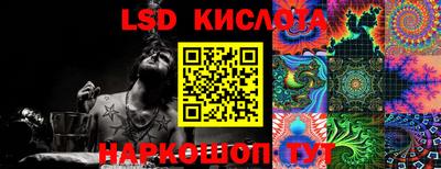 амф Камышлов