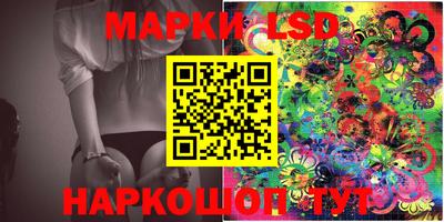 амф Камышлов