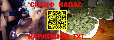 амф Камышлов
